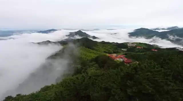 旅游年卡分享网