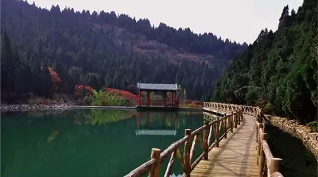 旅游年卡分享网