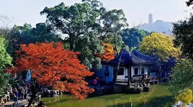 旅游年卡分享网