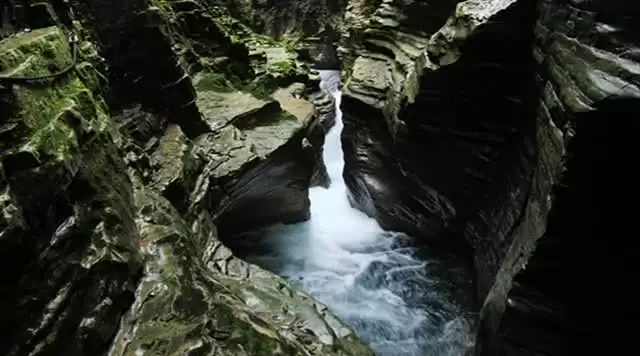 旅游年卡分享网