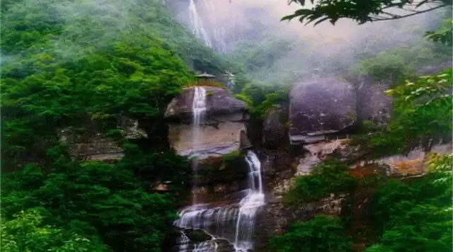 旅游年卡分享网