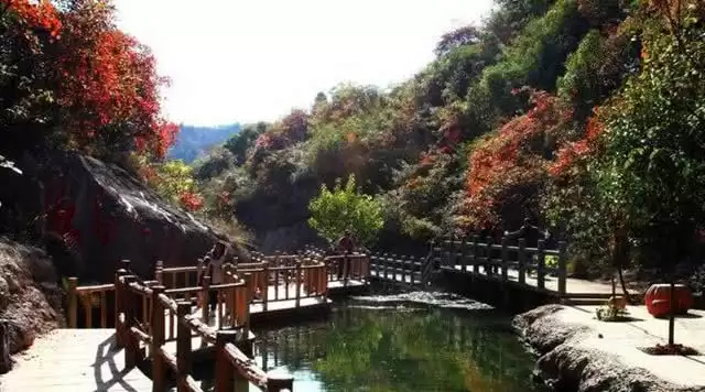 旅游年卡分享网