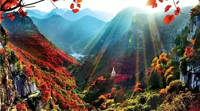 旅游年卡分享网