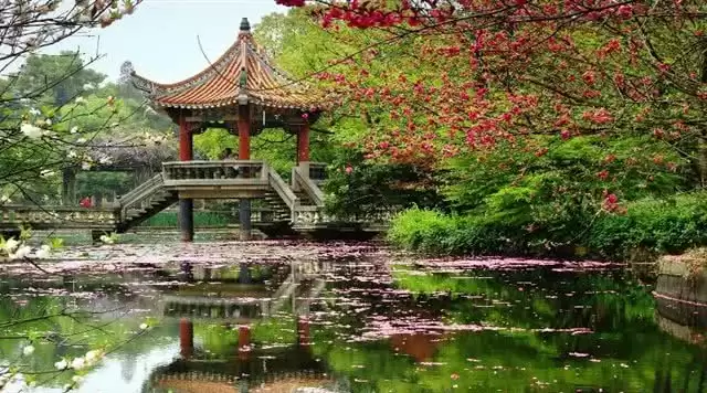 旅游年卡分享网