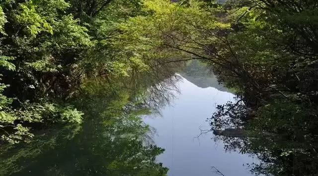 旅游年卡分享网