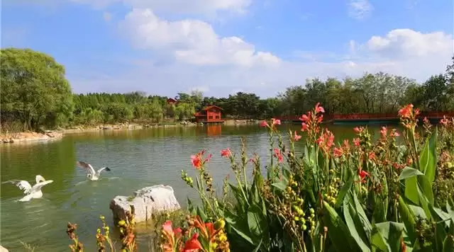 旅游年卡分享网