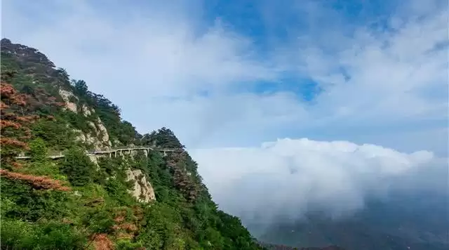 旅游年卡分享网