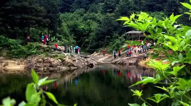 旅游年卡分享网