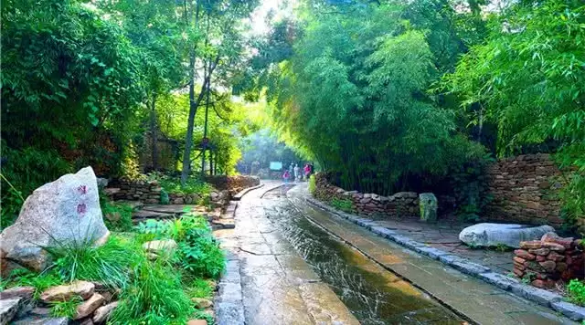 旅游年卡分享网