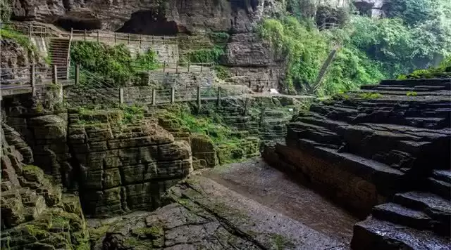 旅游年卡分享网