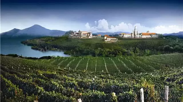 旅游年卡分享网
