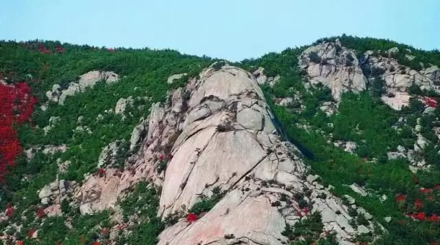 旅游年卡分享网