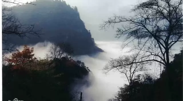 旅游年卡分享网
