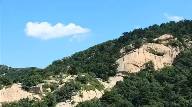 旅游年卡分享网