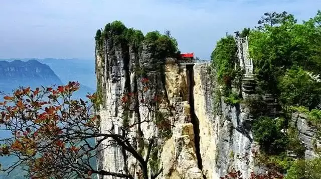 旅游年卡分享网