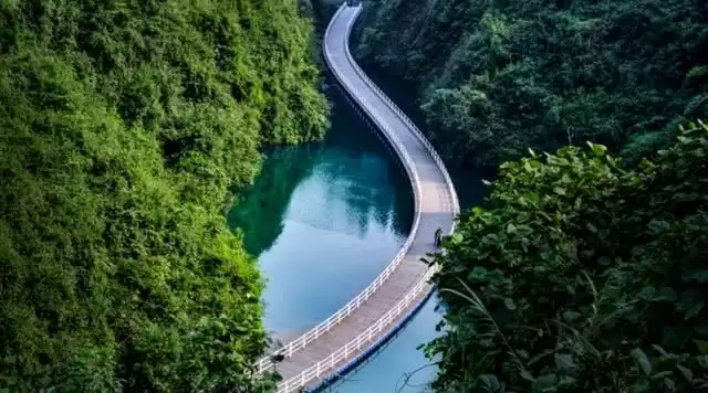 旅游年卡分享网