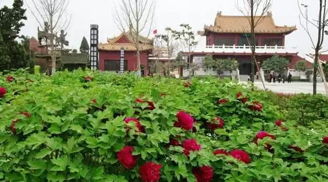 旅游年卡分享网