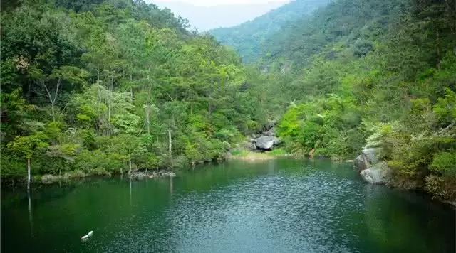 旅游年卡分享网