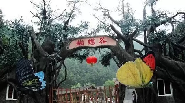 旅游年卡分享网