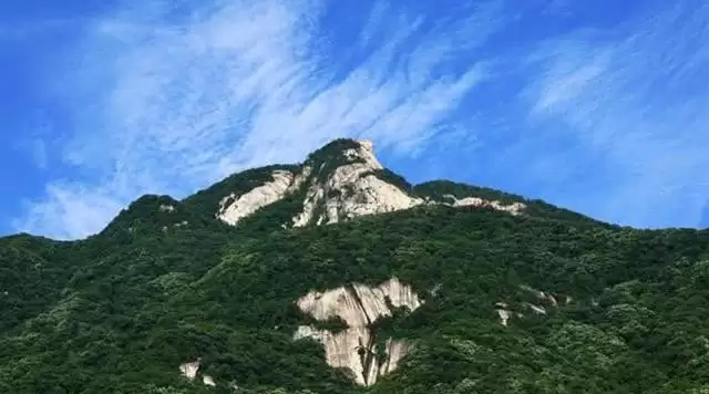 旅游年卡分享网