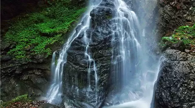 旅游年卡分享网