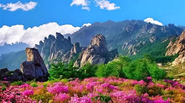 旅游年卡分享网
