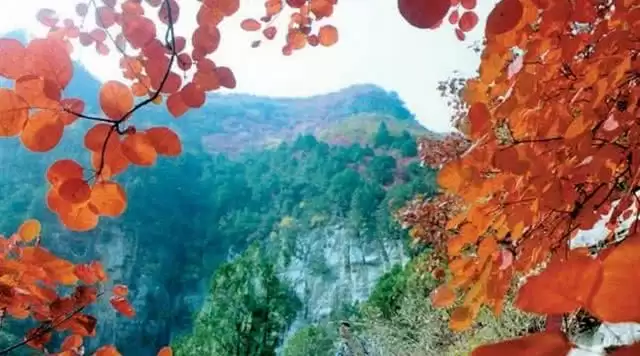 旅游年卡分享网