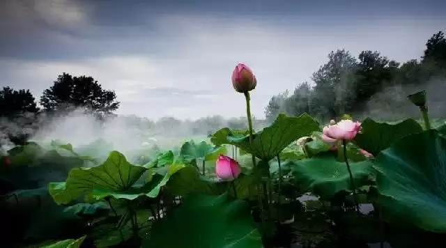 旅游年卡分享网
