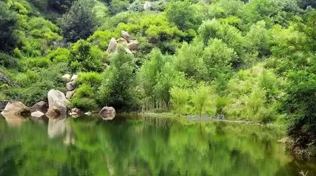 旅游年卡分享网