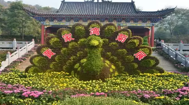 旅游年卡分享网