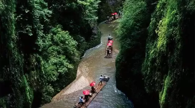 旅游年卡分享网