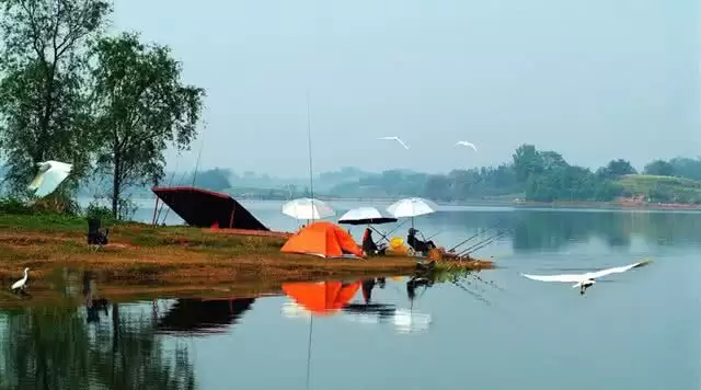 旅游年卡分享网