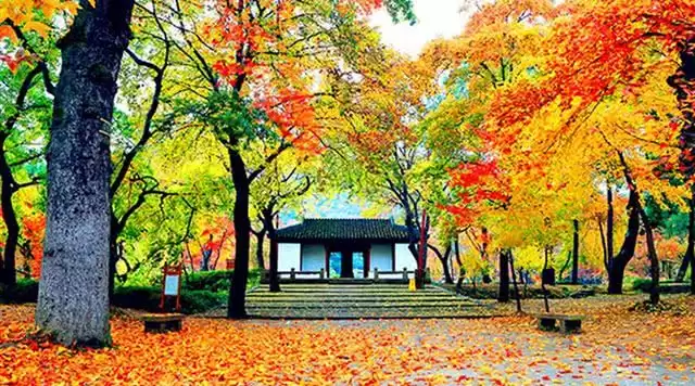 旅游年卡分享网