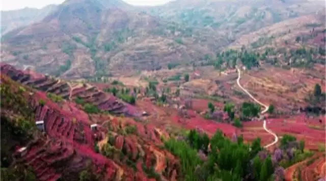 旅游年卡分享网