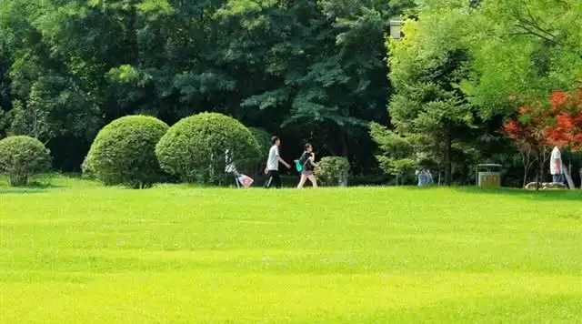 旅游年卡分享网