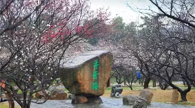旅游年卡分享网