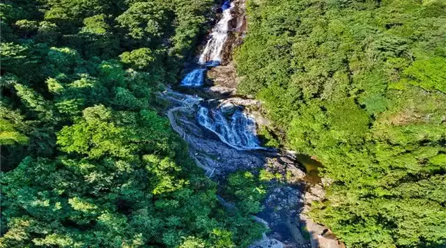 旅游年卡分享网