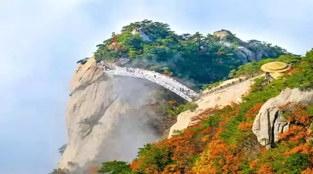 旅游年卡分享网