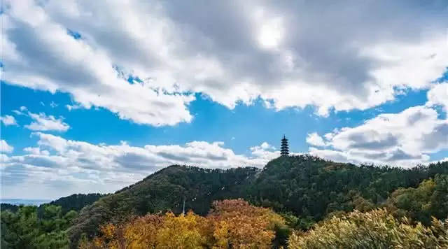 旅游年卡分享网
