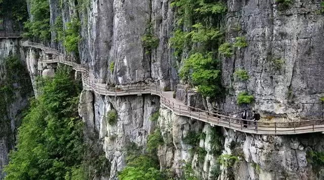 旅游年卡分享网