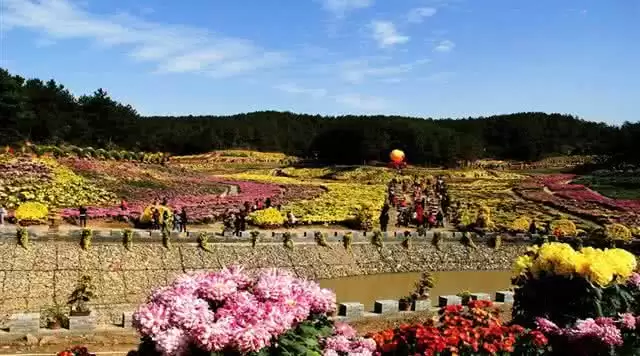 旅游年卡分享网