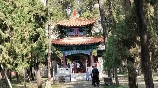 旅游年卡分享网