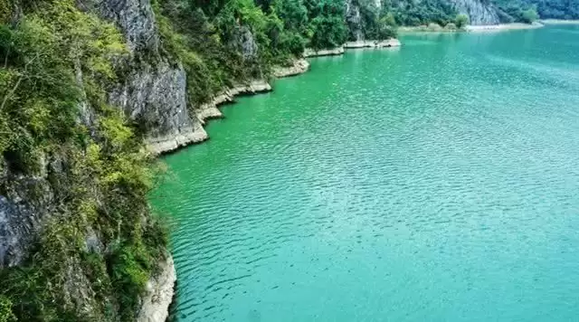 旅游年卡分享网