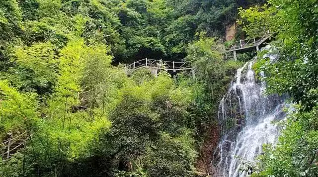 旅游年卡分享网