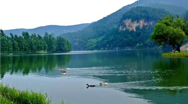 旅游年卡分享网