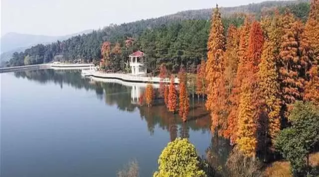 旅游年卡分享网