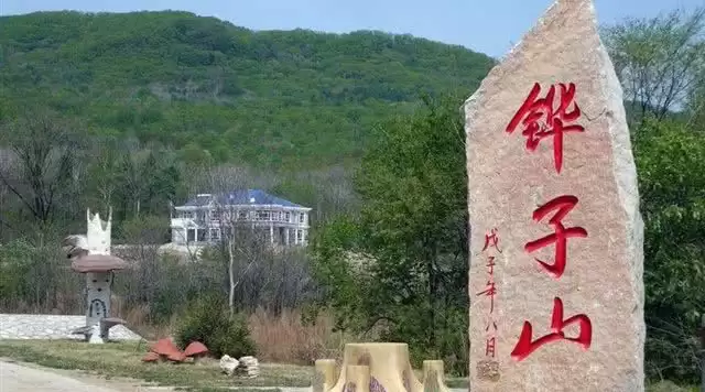 旅游年卡分享网