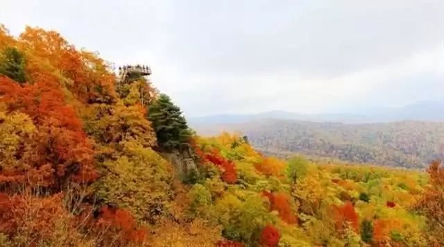 旅游年卡分享网