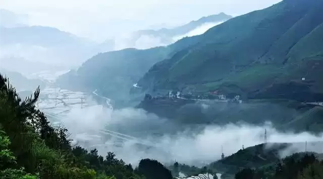 旅游年卡分享网