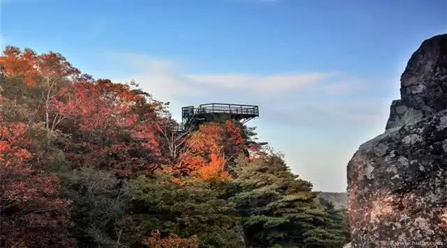 旅游年卡分享网
